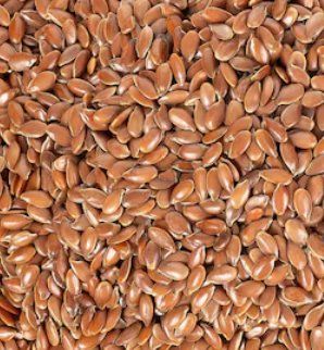 Close-up of roasted organic whole flax seeds